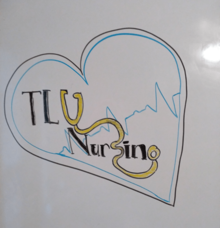 The What and Why of Nursing&nbsp;School