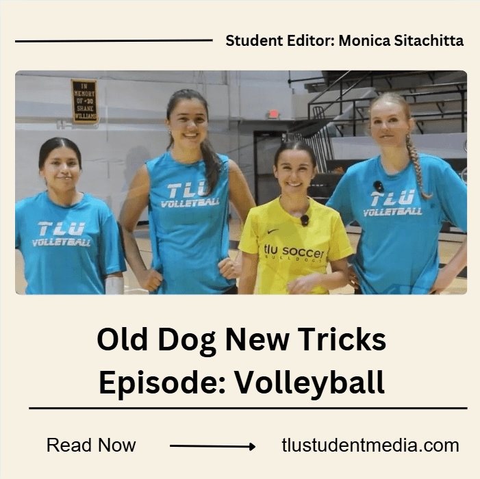 Old Dog New Tricks Episode:&nbsp;Volleyball